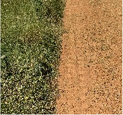 before and after comparison of vegetation removal by Coneteks Subsoil Mulcher before and after comparison of vegetation removal by Coneteks Subsoil Mulcher